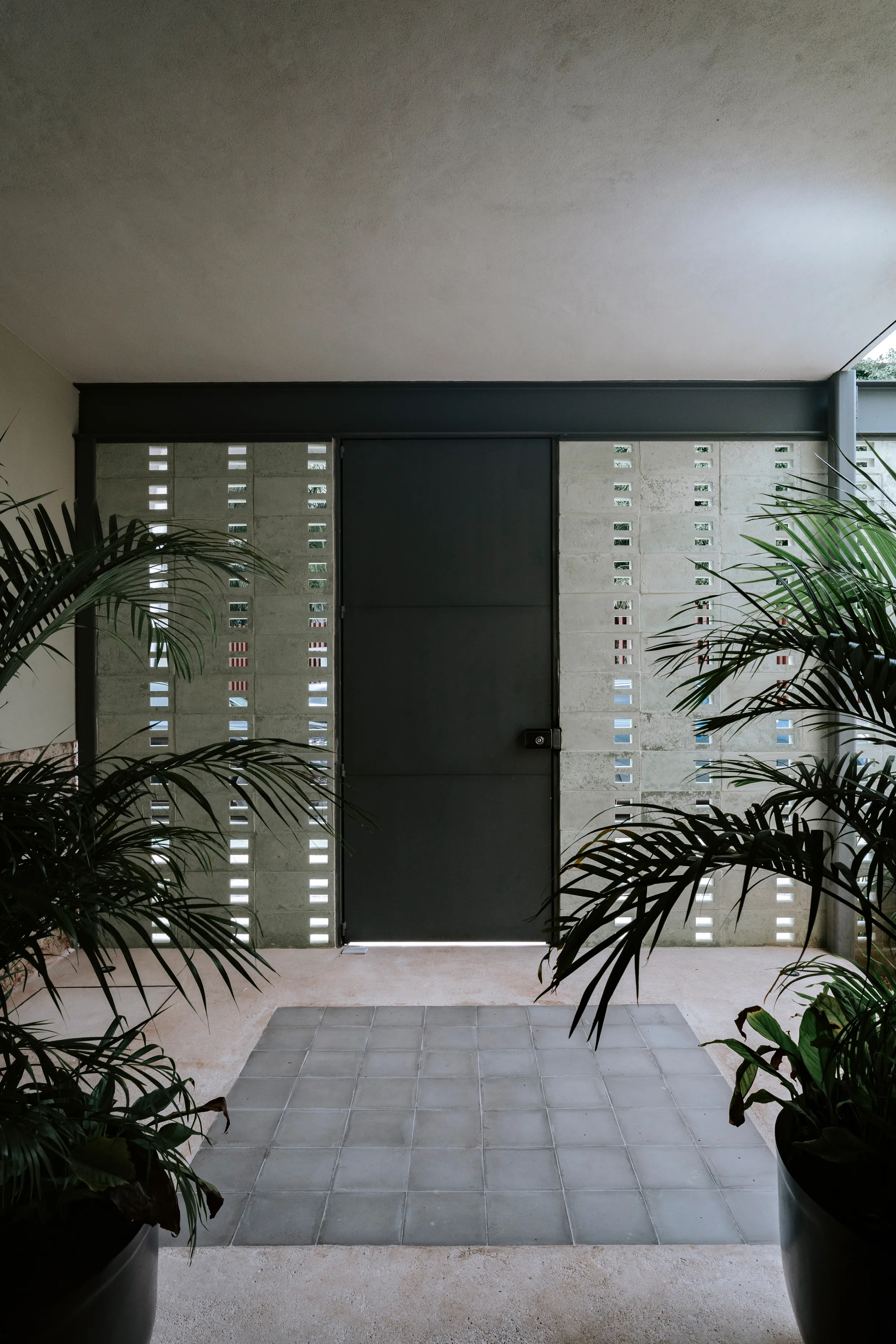 Wander Merida Oasis #36