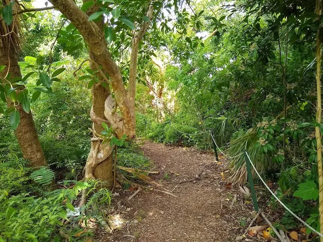 Otter Mound Preserve