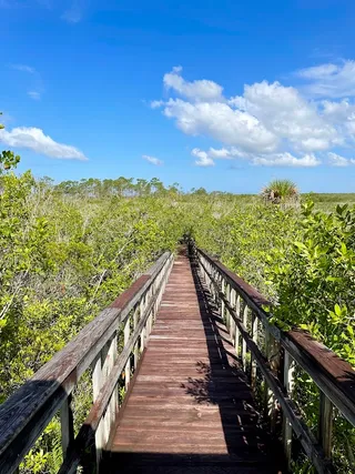 Briggs Boardwalk