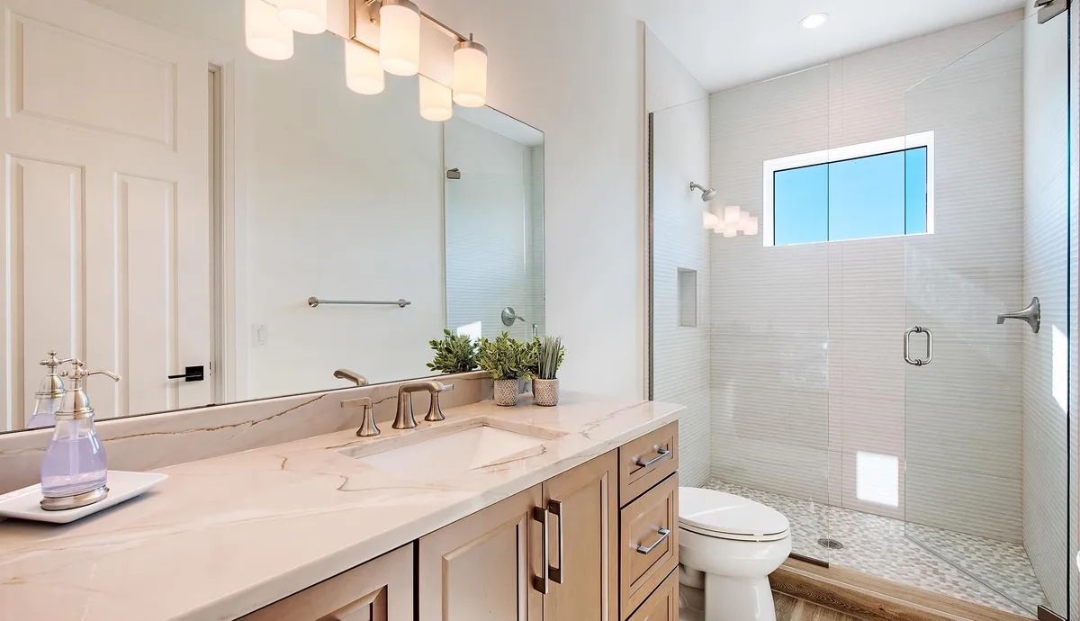 Wander Marco Haven #8