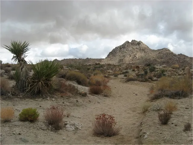 Desert View Conservation Area