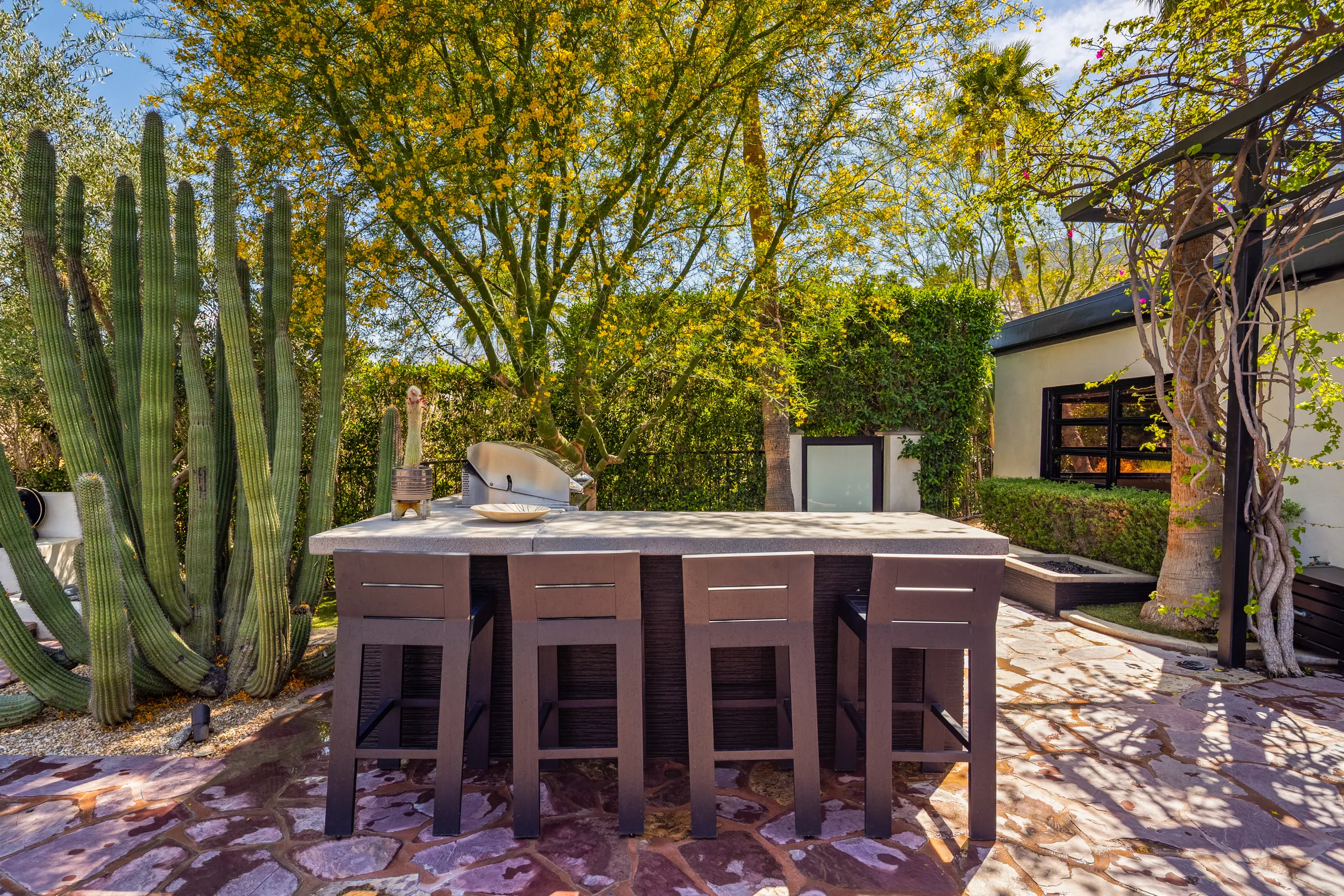 Wander Palm Springs Summit #102