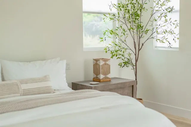 Wander Encinitas Coastline #18