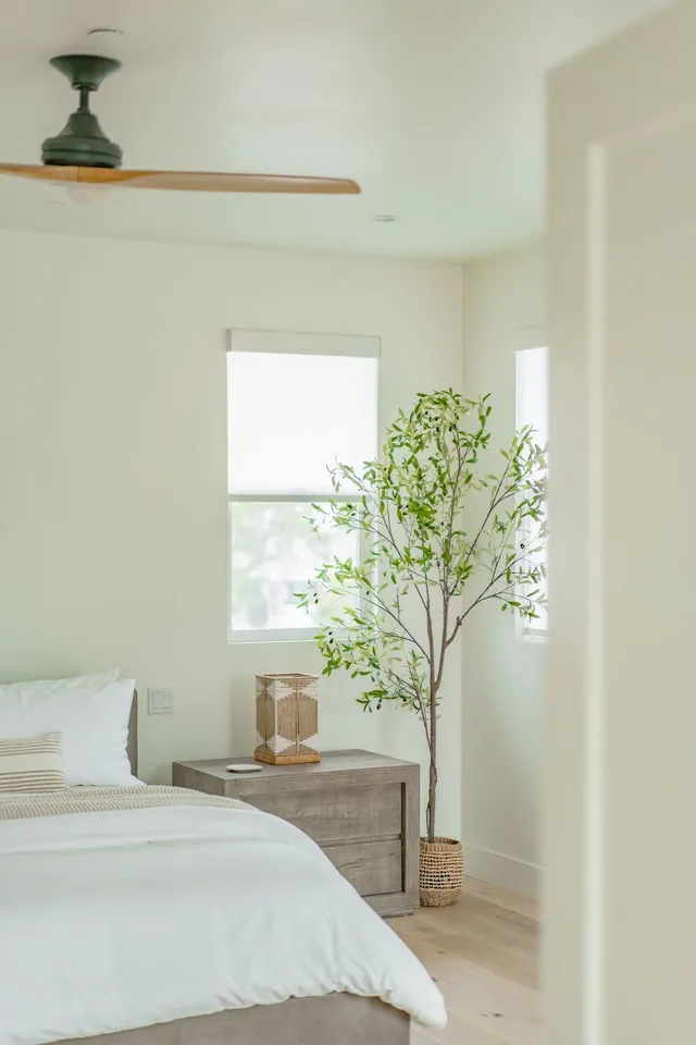 Wander Encinitas Coastline #42