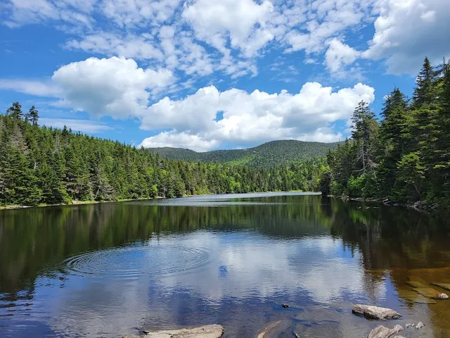 Sterling Pond Trail