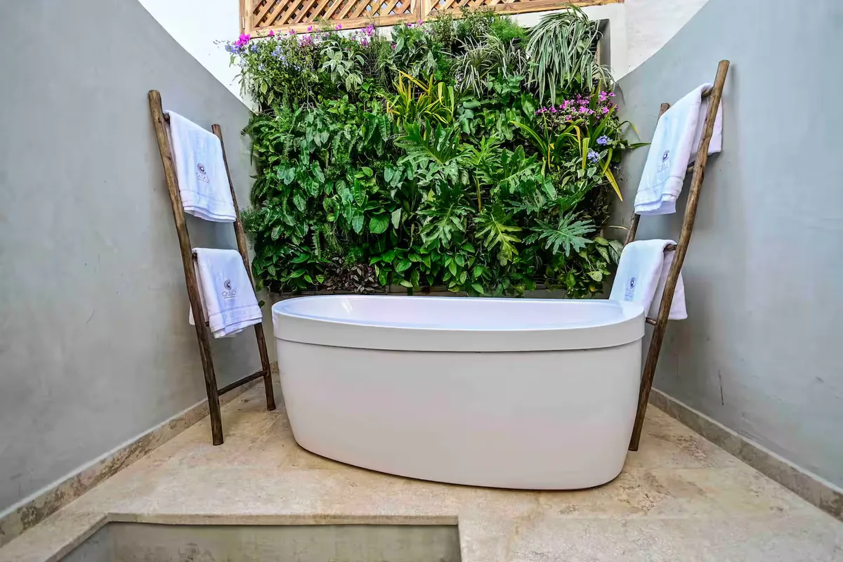 Wander Cartagena Sunset #16