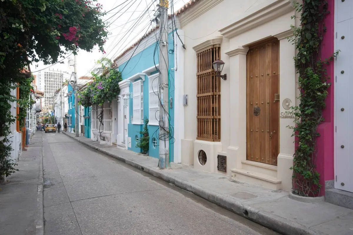 Wander Cartagena Palms #4