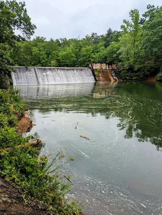 Clemson Experimental Forest