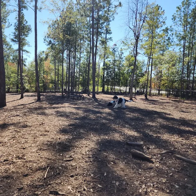 Seneca PetSafe Dog Park