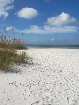 Bowditch Point Park