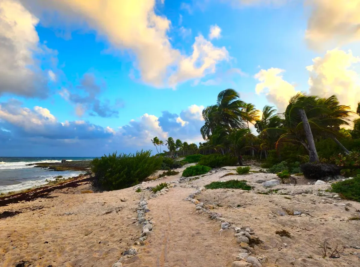 Wander Akumal Oasis #28