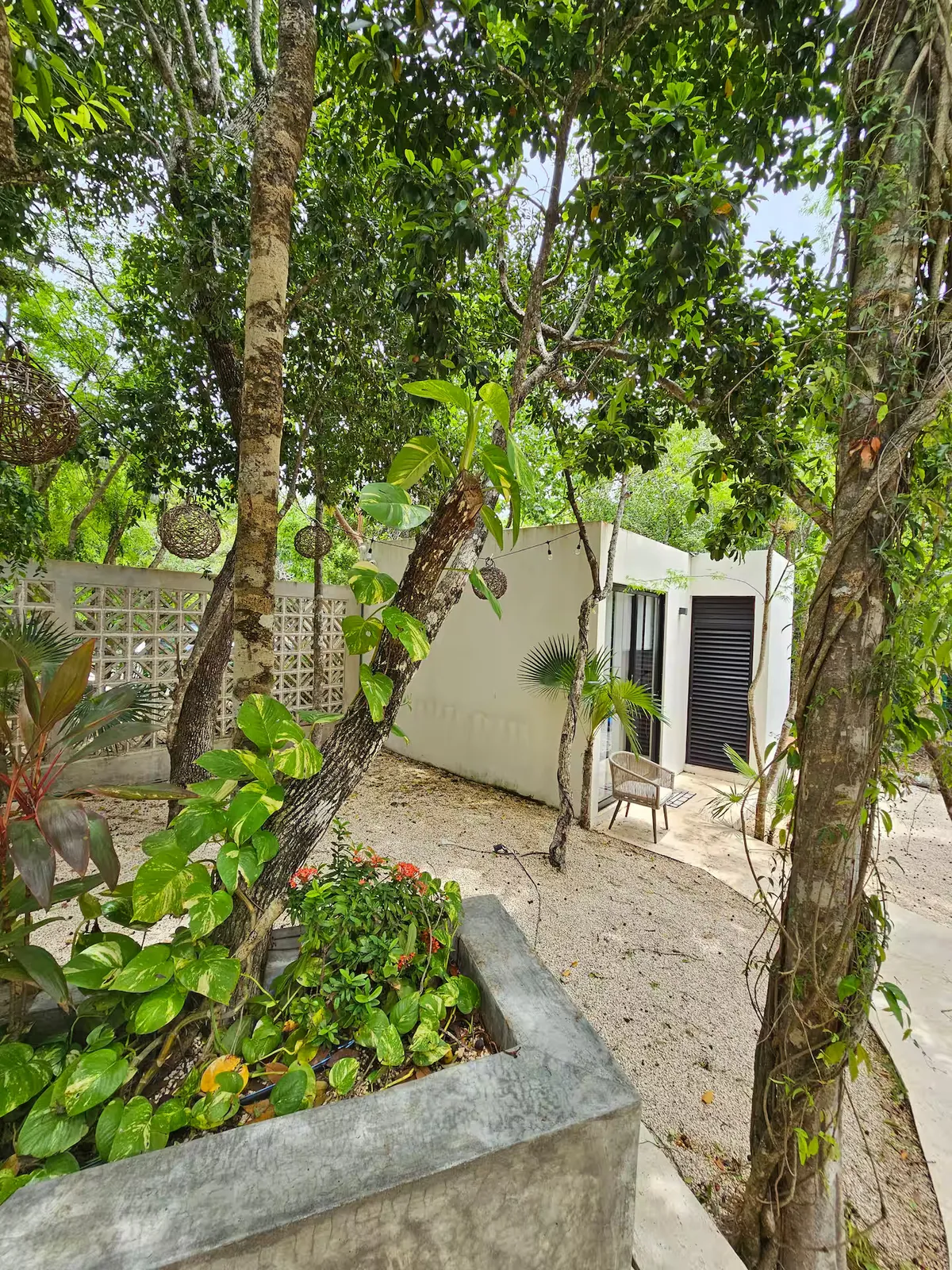 Wander Akumal Oasis #15