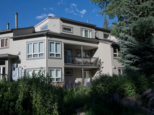 Wander Vail Solstice #5