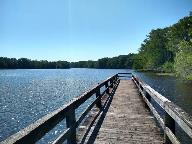 Lake Townsen Preserve
