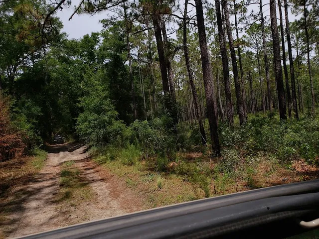 Croom Wildlife Management Area