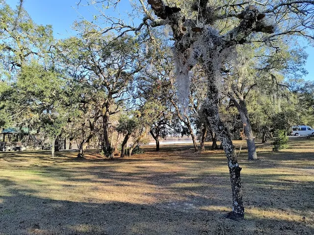 Withlacoochee State Forest