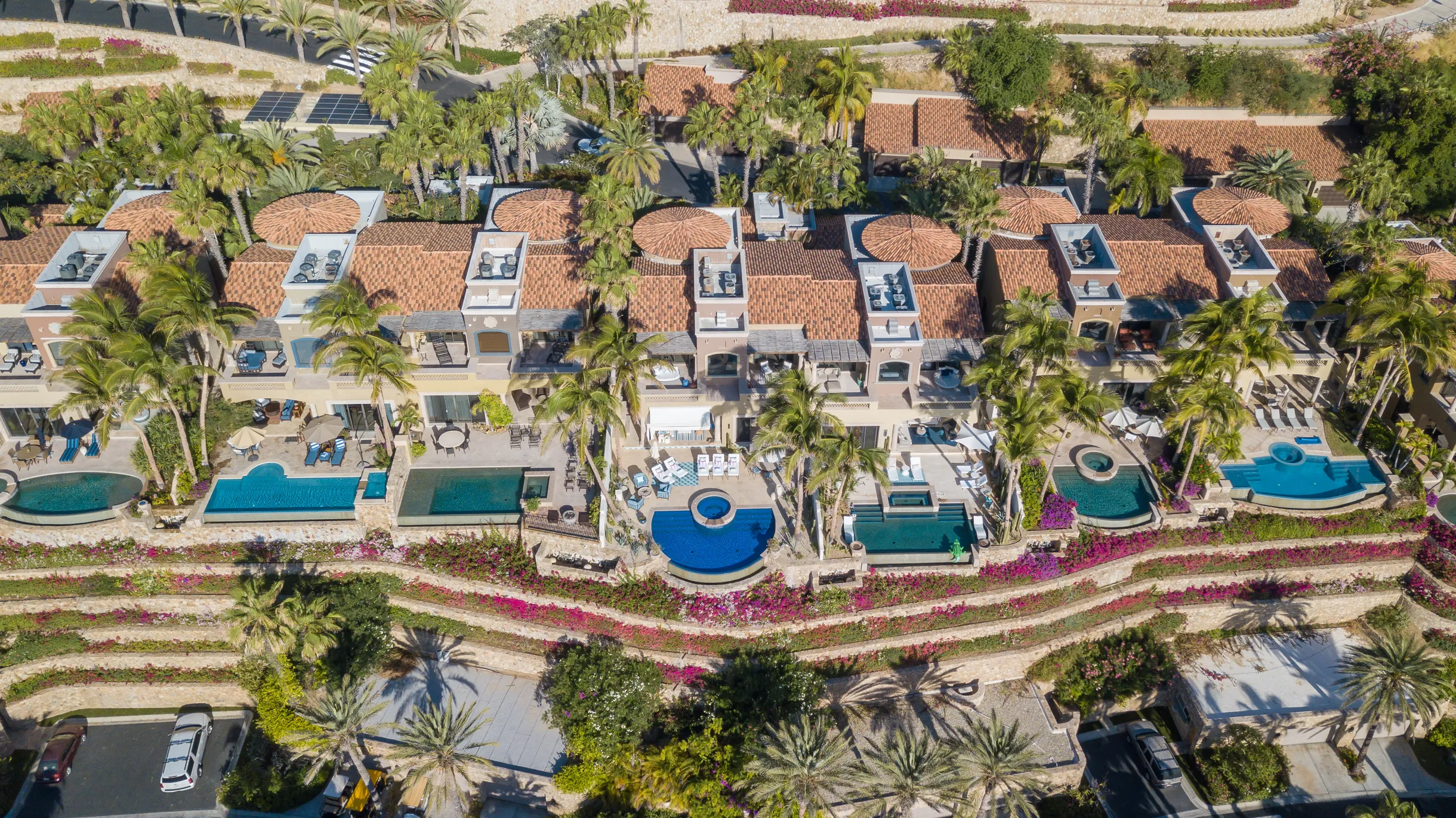 Wander Cabo Dusk  #64