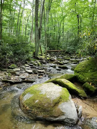 Trailhead Mountains to Sea Goshen River Trail