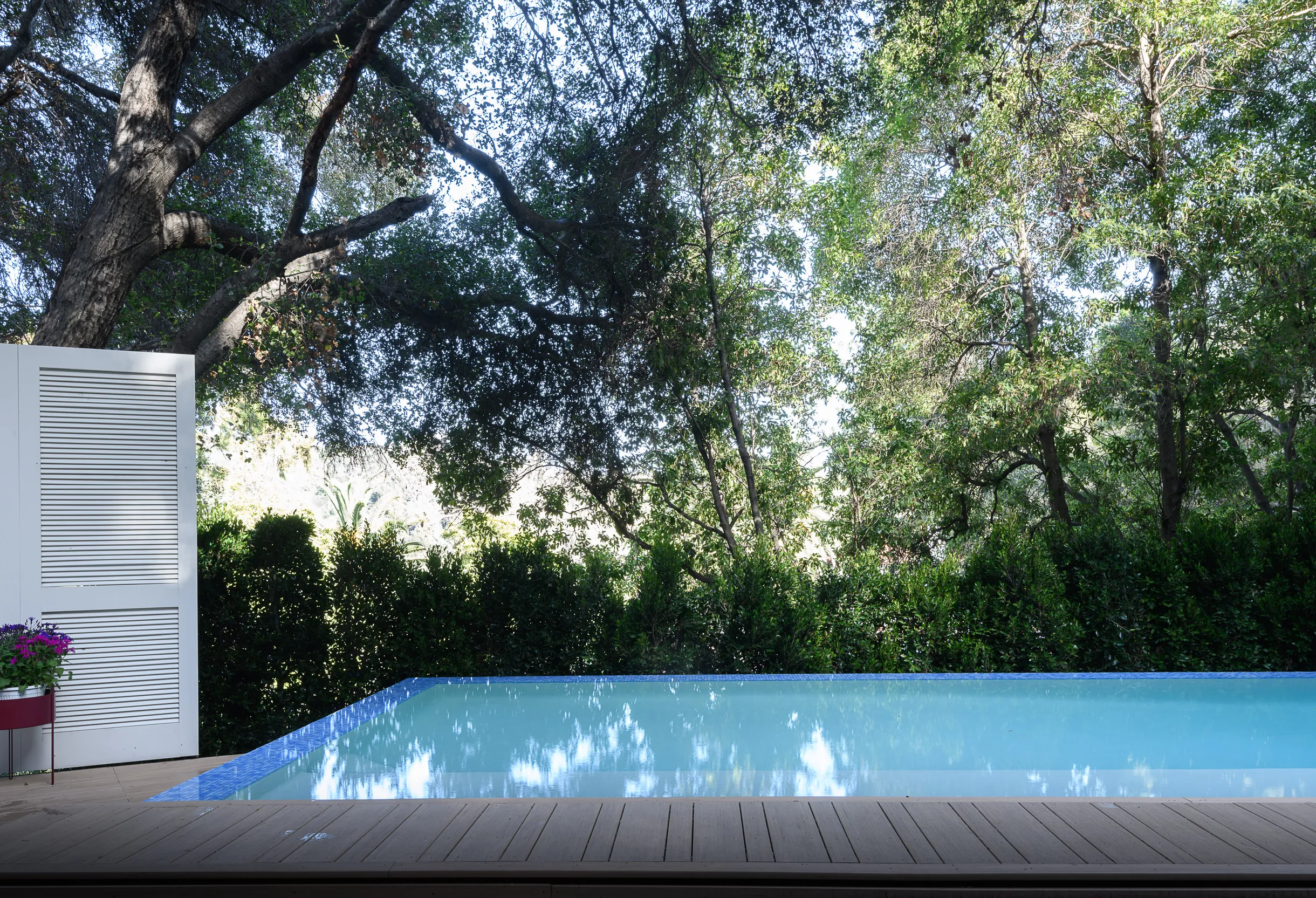 Wander Hollywood Ember #42