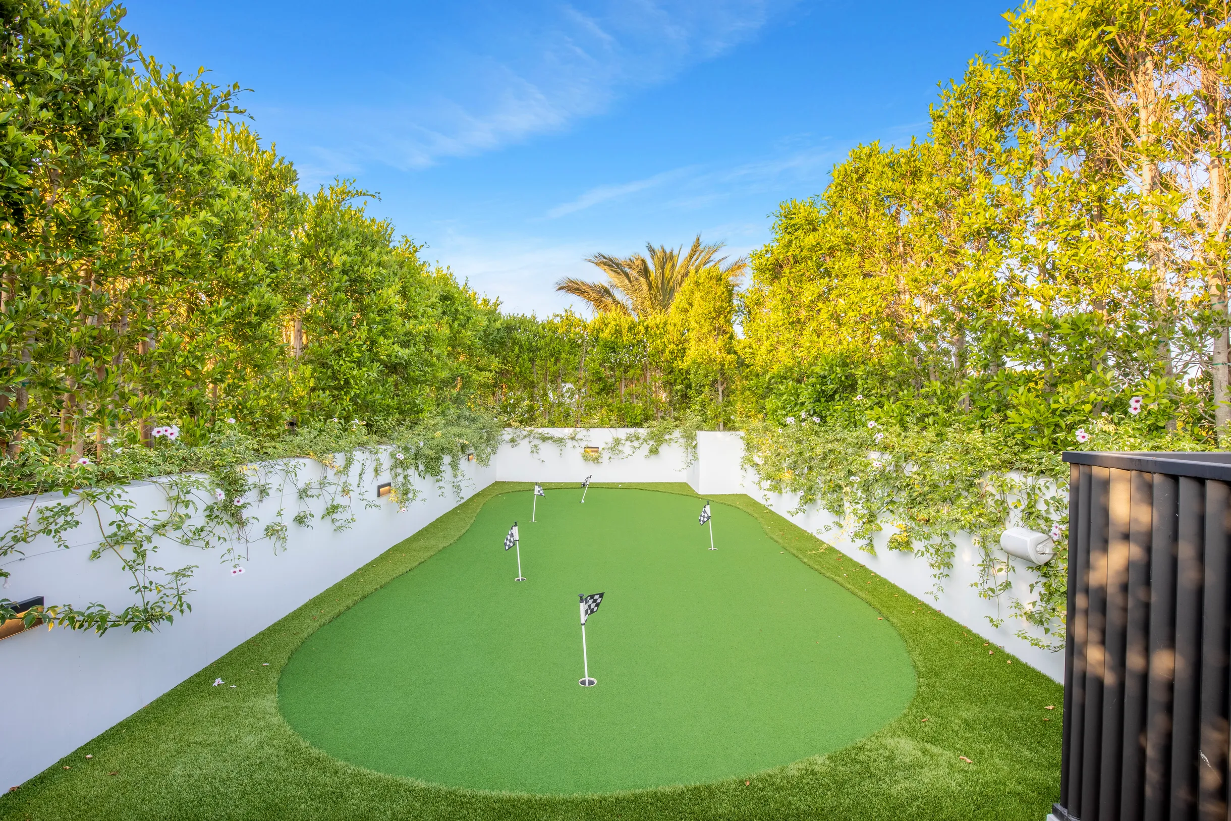 Wander Los Angeles Zenith #58