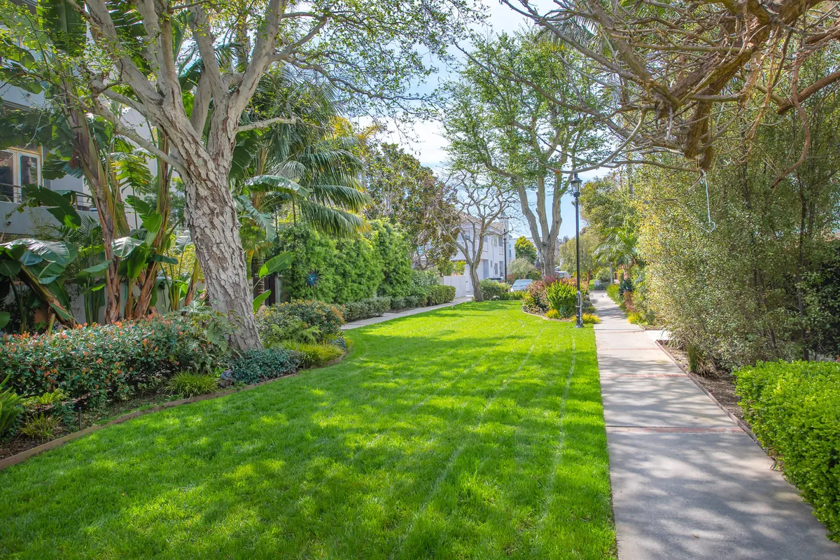 Wander Los Angeles Mirage #16