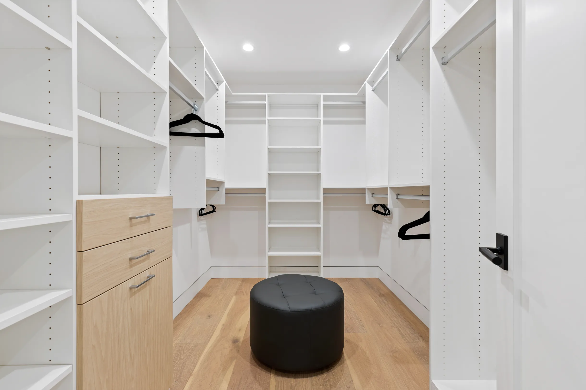 Wander Hollywood Halo #46