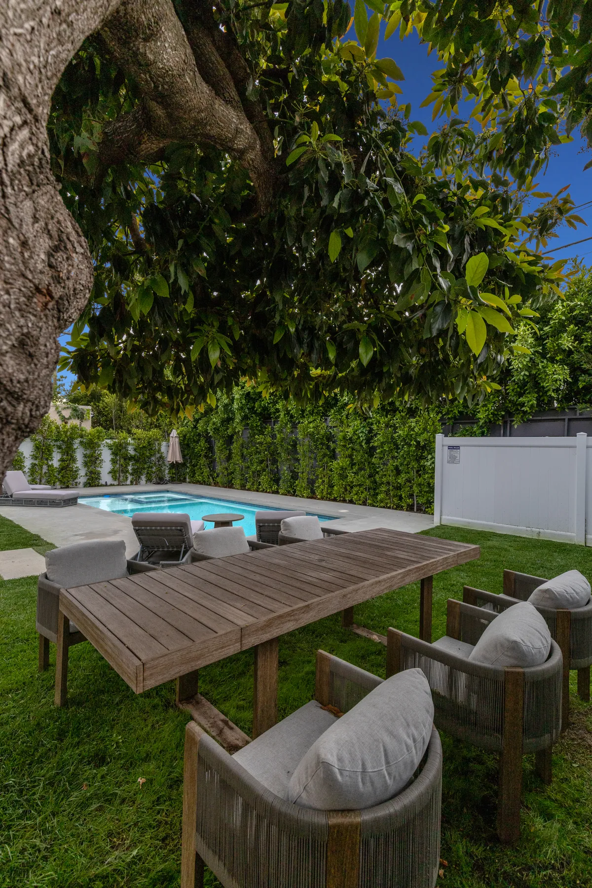 Wander Hollywood Halo #50