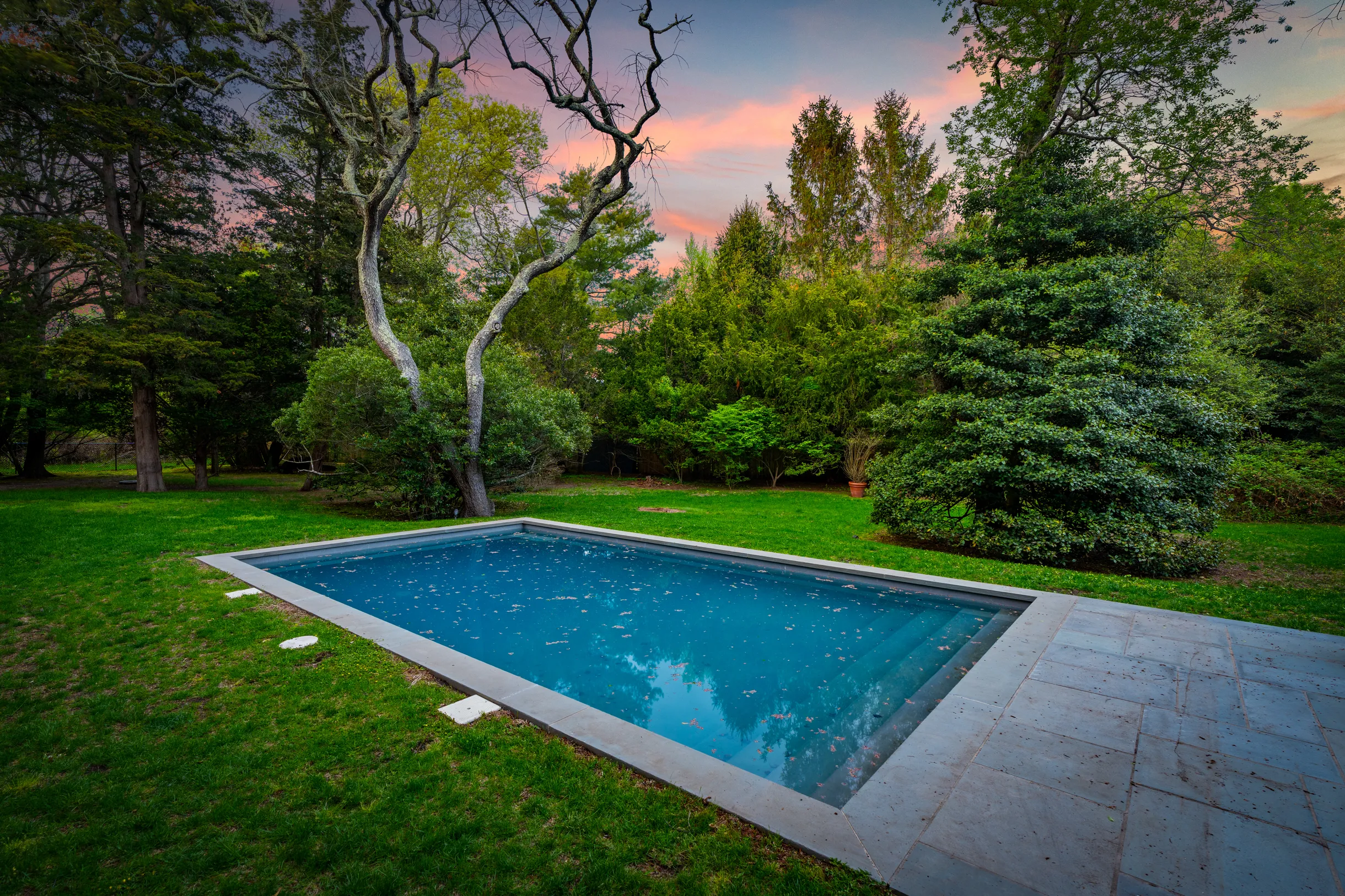 Wander Bellport Park #33