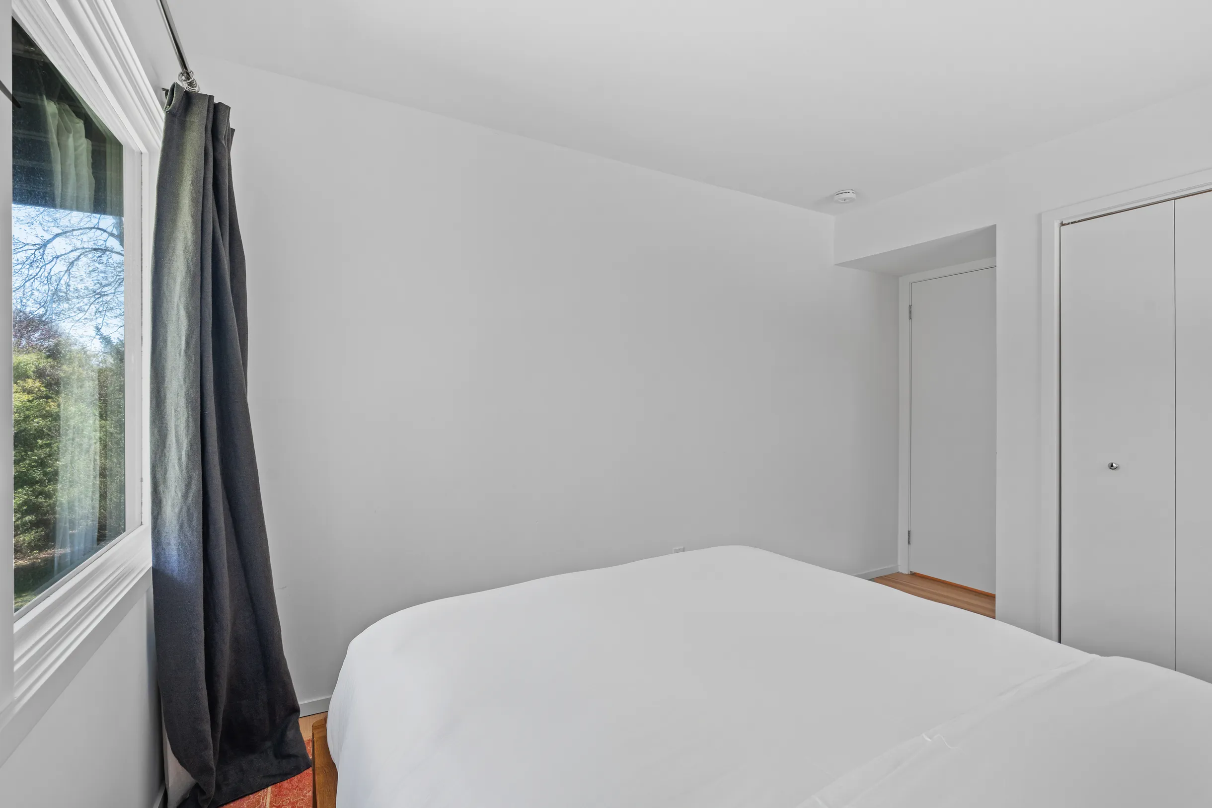 Wander Bellport Park #39