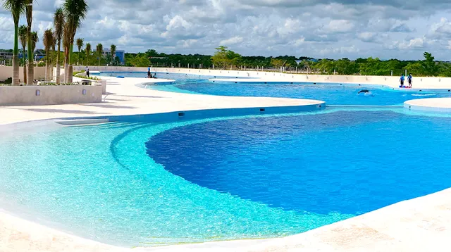 Dolphin Discovery Punta Cana