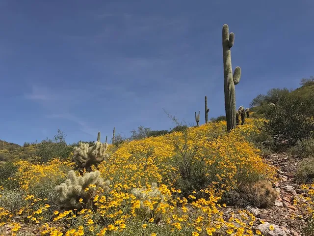 Cave Creek Regional Park