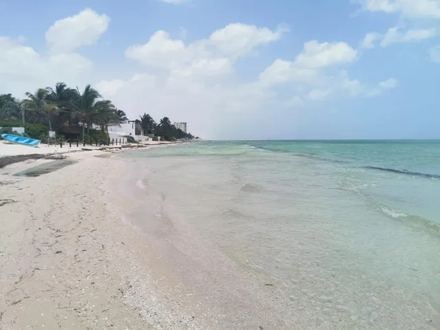 Wander Merida Beach #47