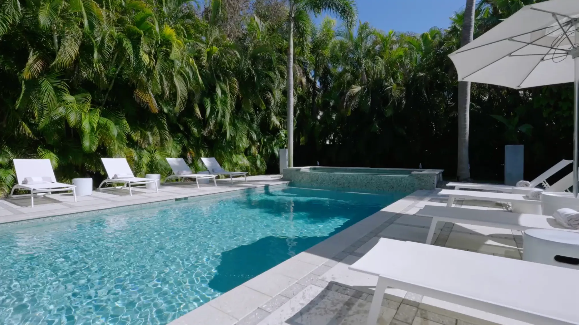 Wander Tampa Bay activities video