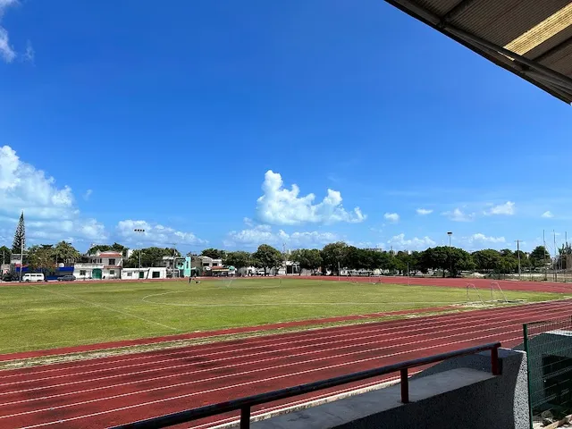 Toro Valenzuela