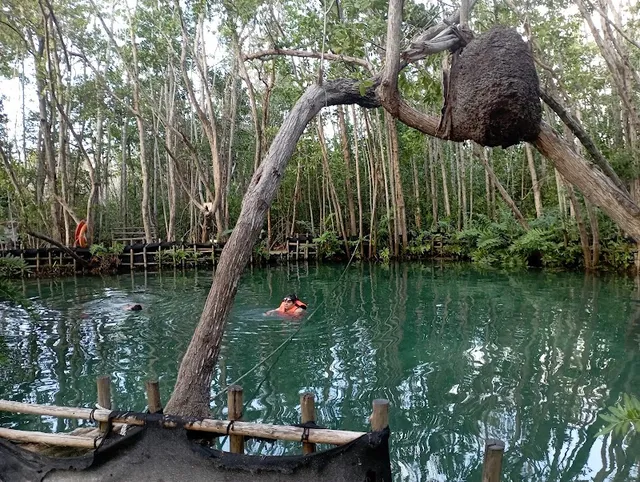 Reserva Ecológica El Corchito