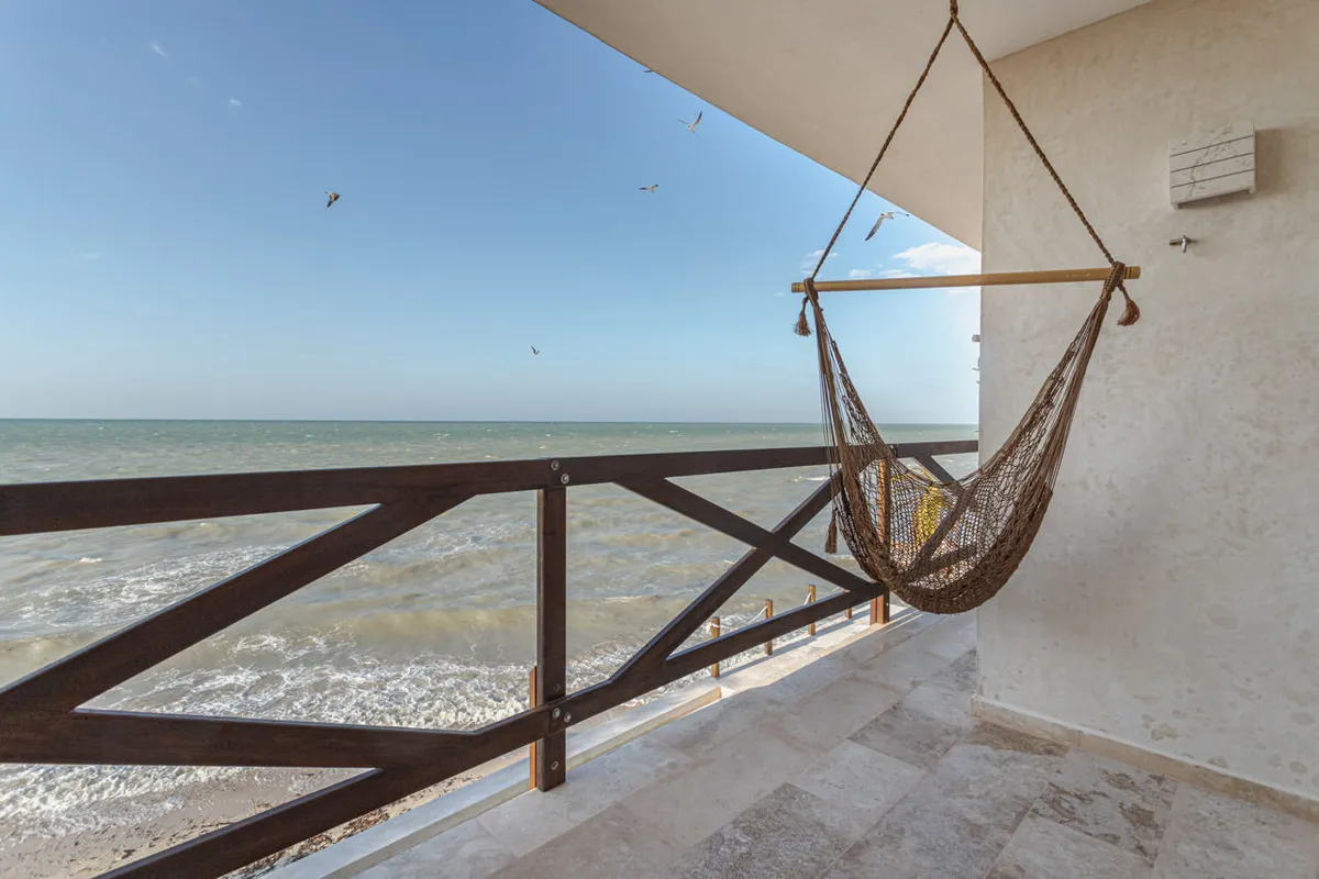 Wander Progreso Horizon #5