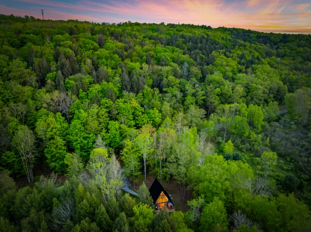 Wander Catskills Ridge