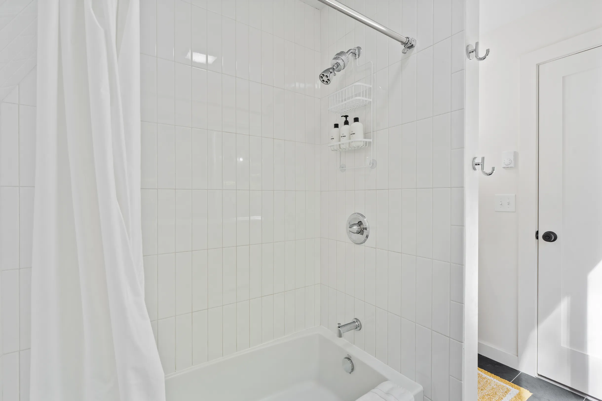 Wander Catskills Ridge #29