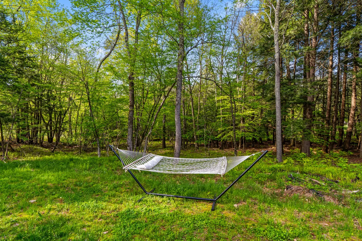 Wander Catskills Ridge