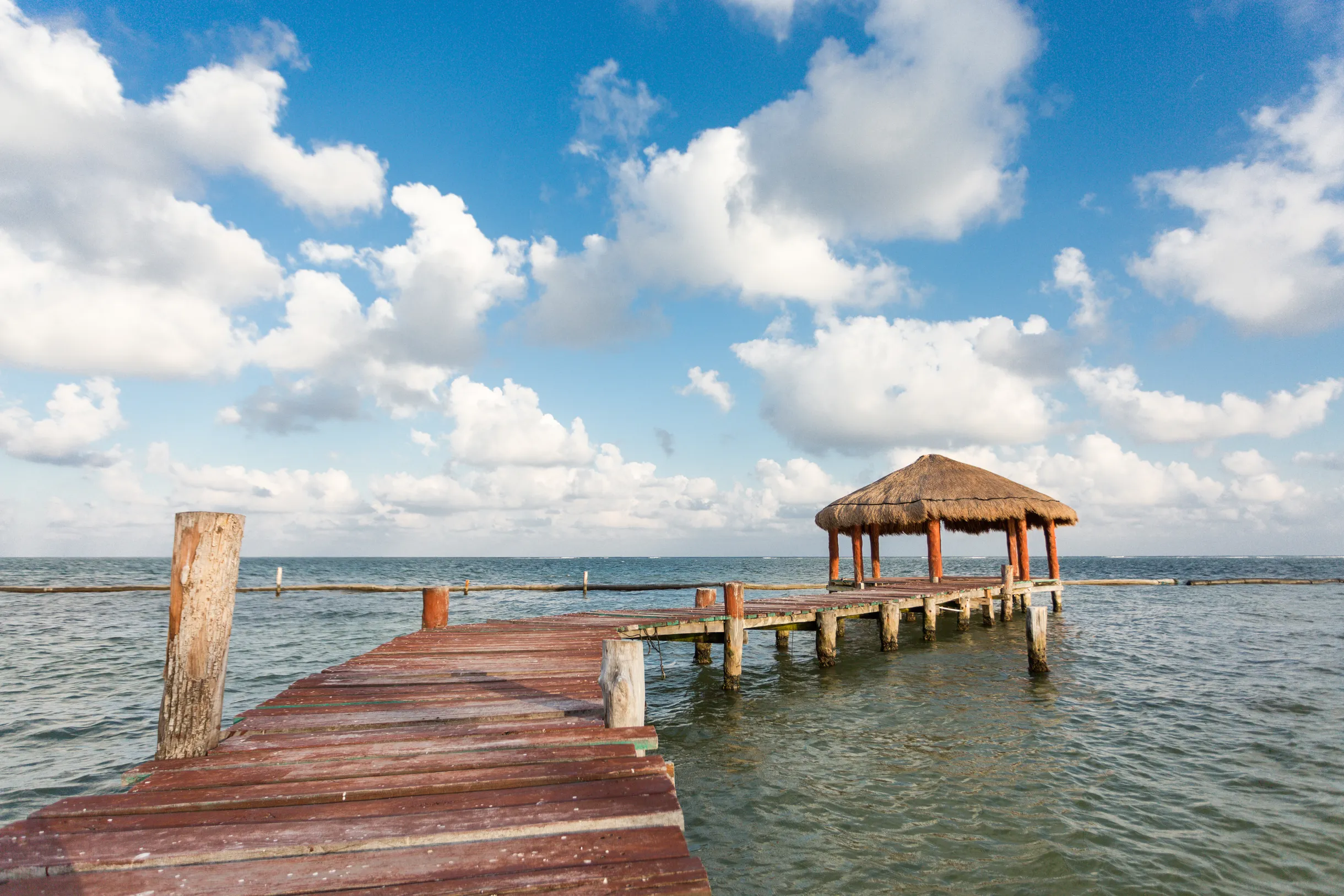 Wander Cancun Haven #58