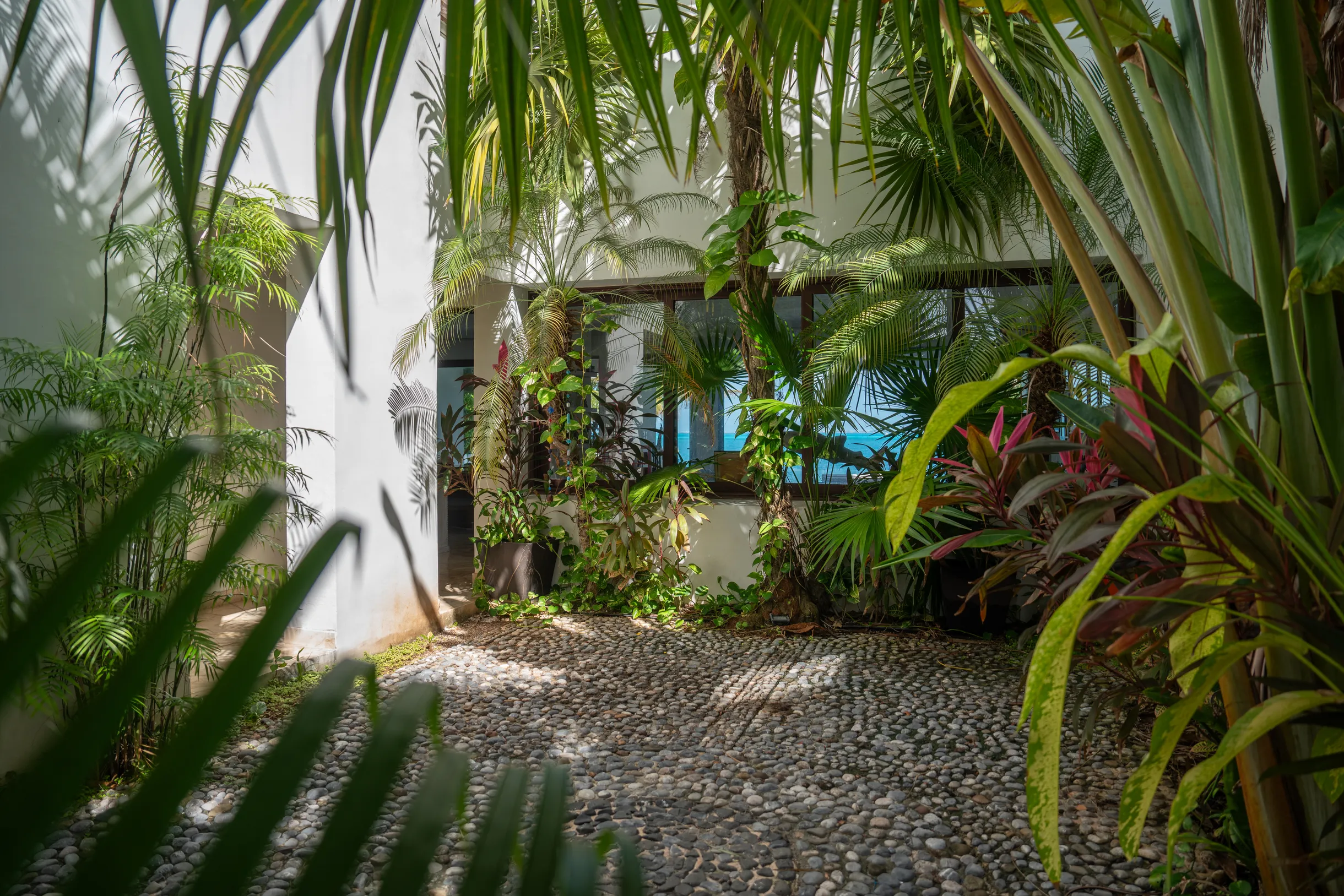 Wander Cancun Sol #46