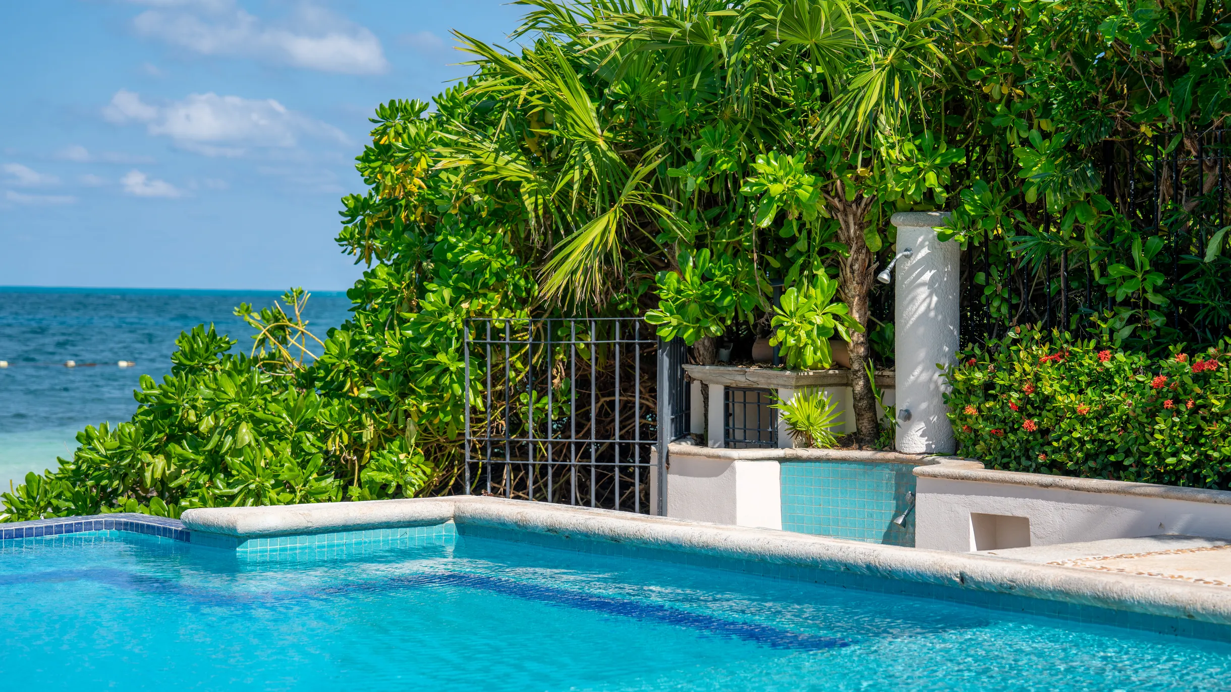 Wander Cancun Breeze #50