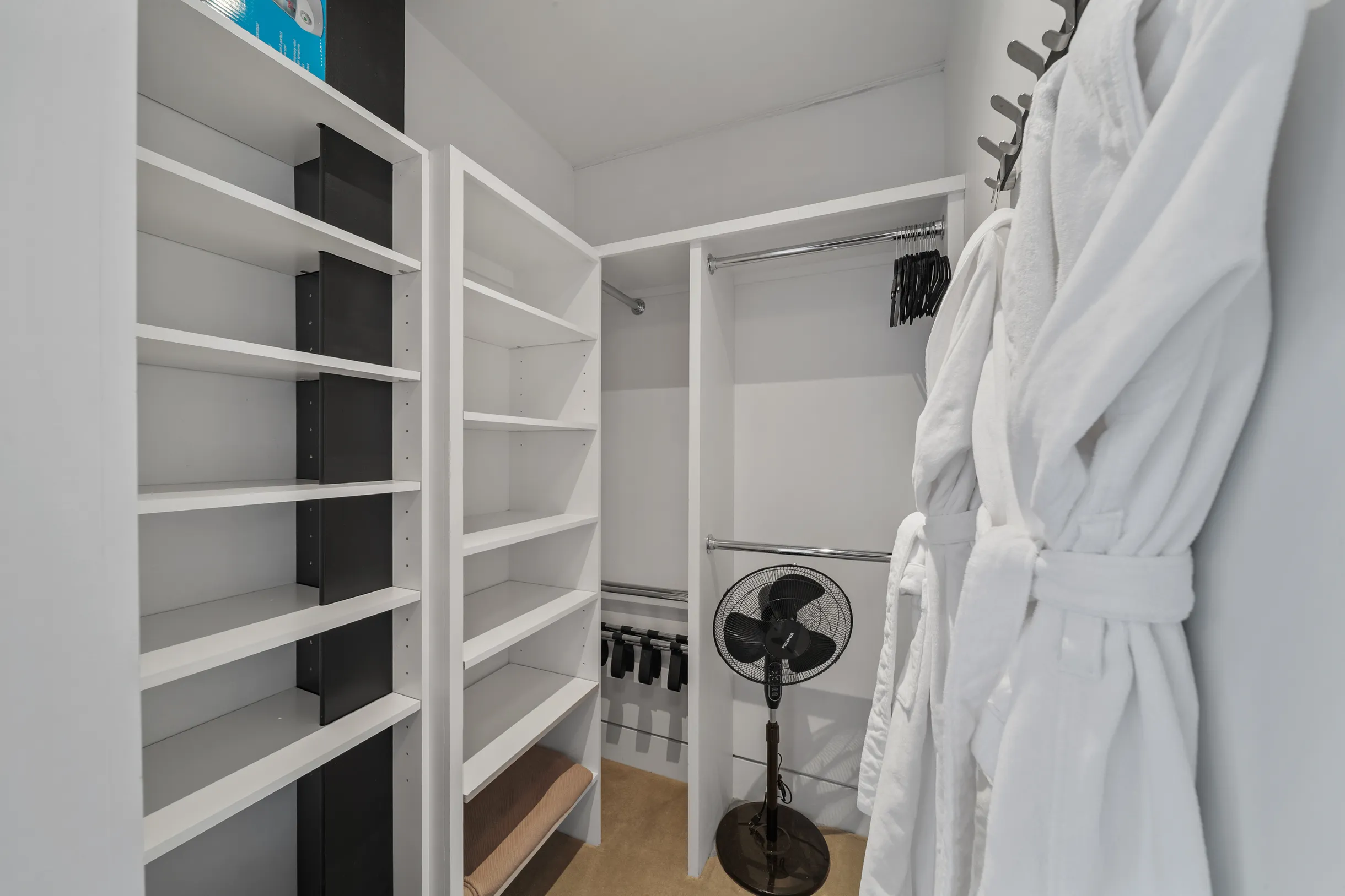 Wander Tahoe Oasis #135