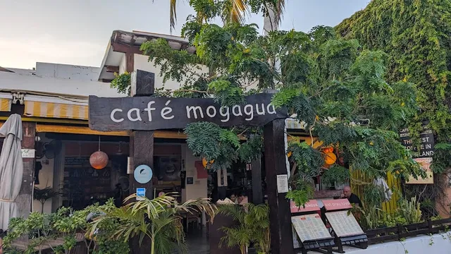 Café Mogagua