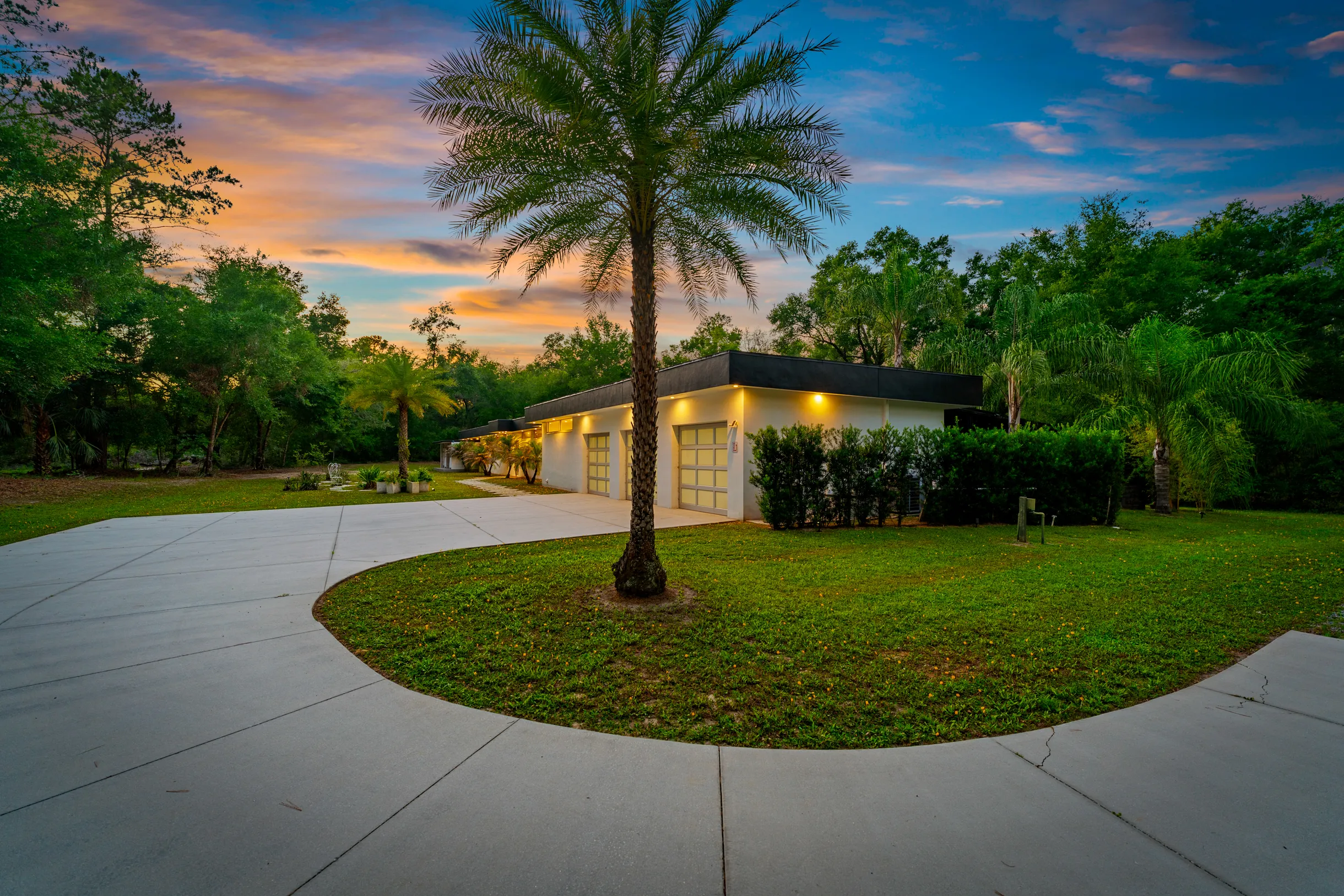 Wander Floral City Oasis #4