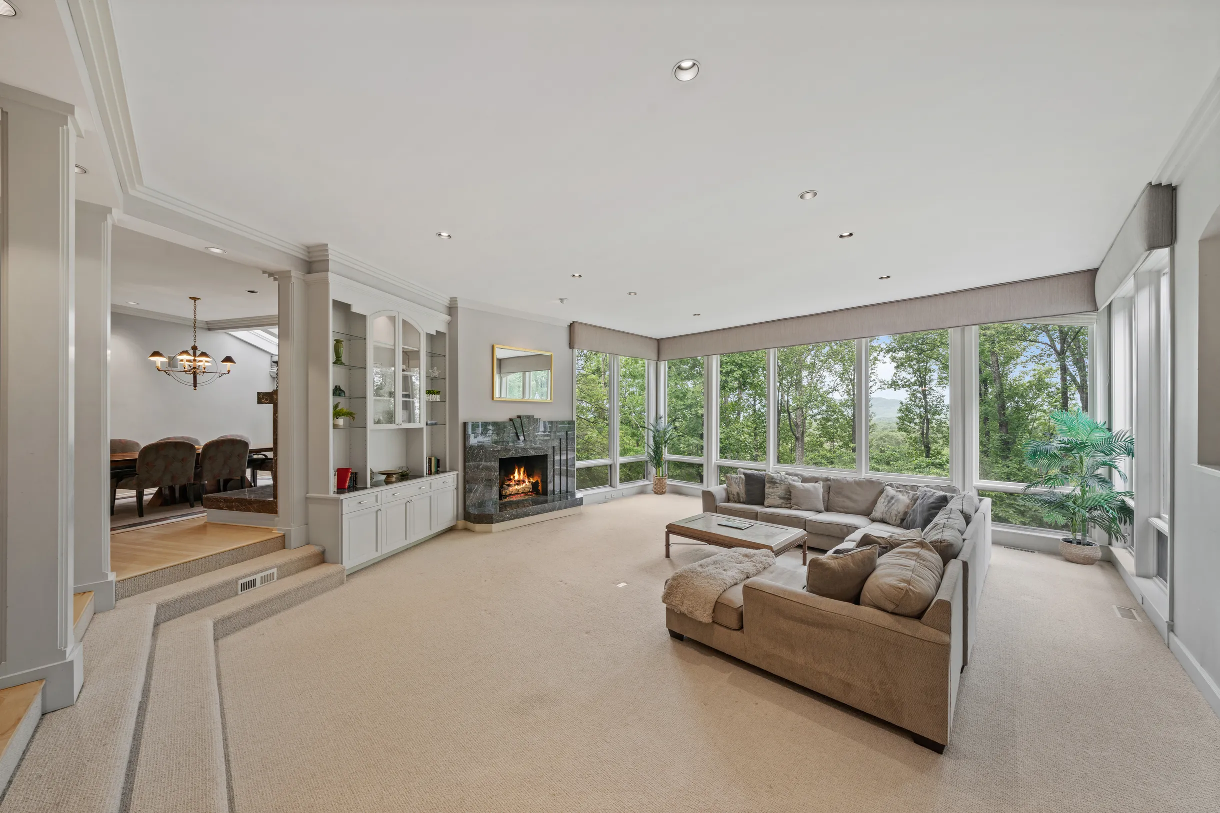 Wander Blue Ridge Valley #61