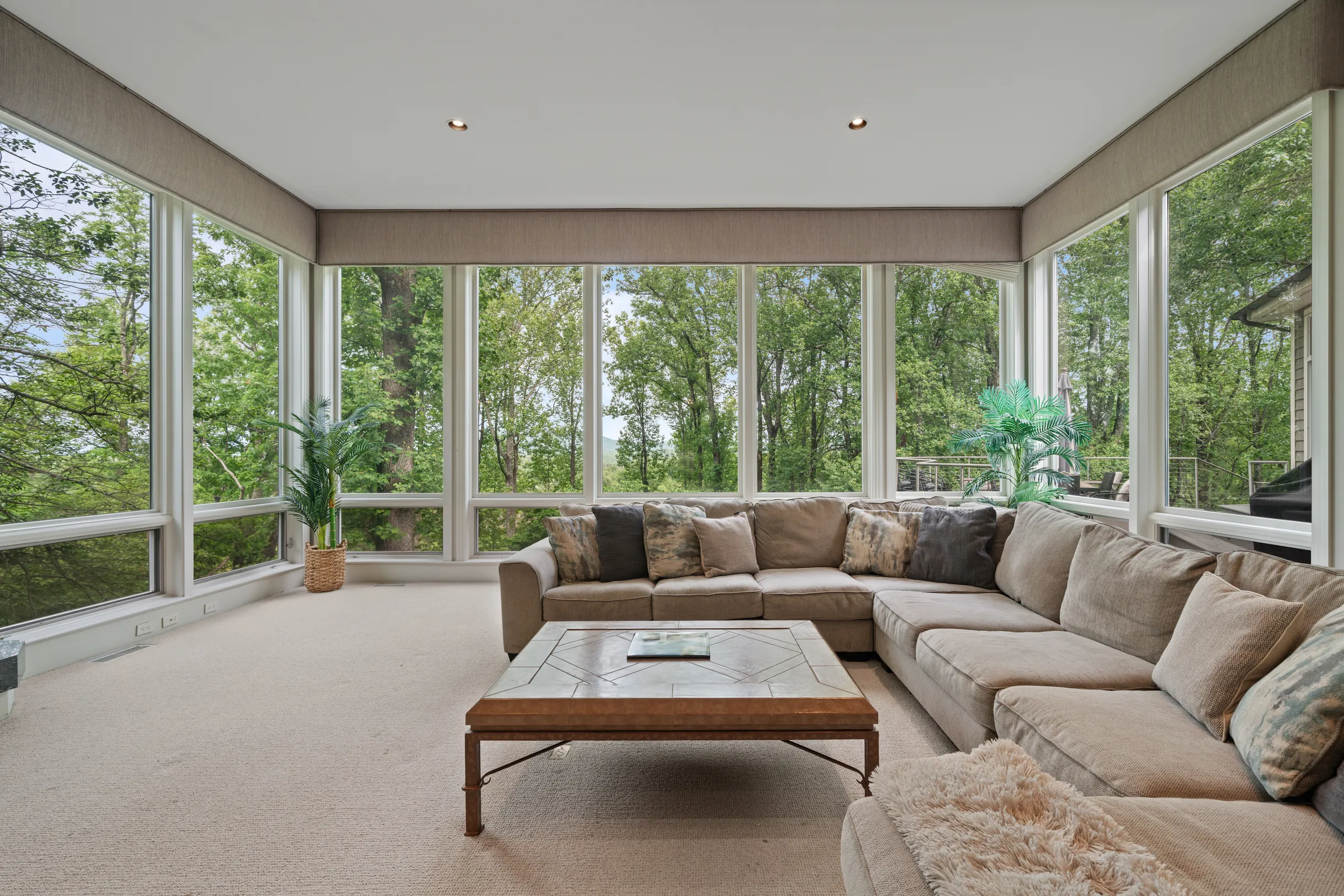 Wander Blue Ridge Valley #93