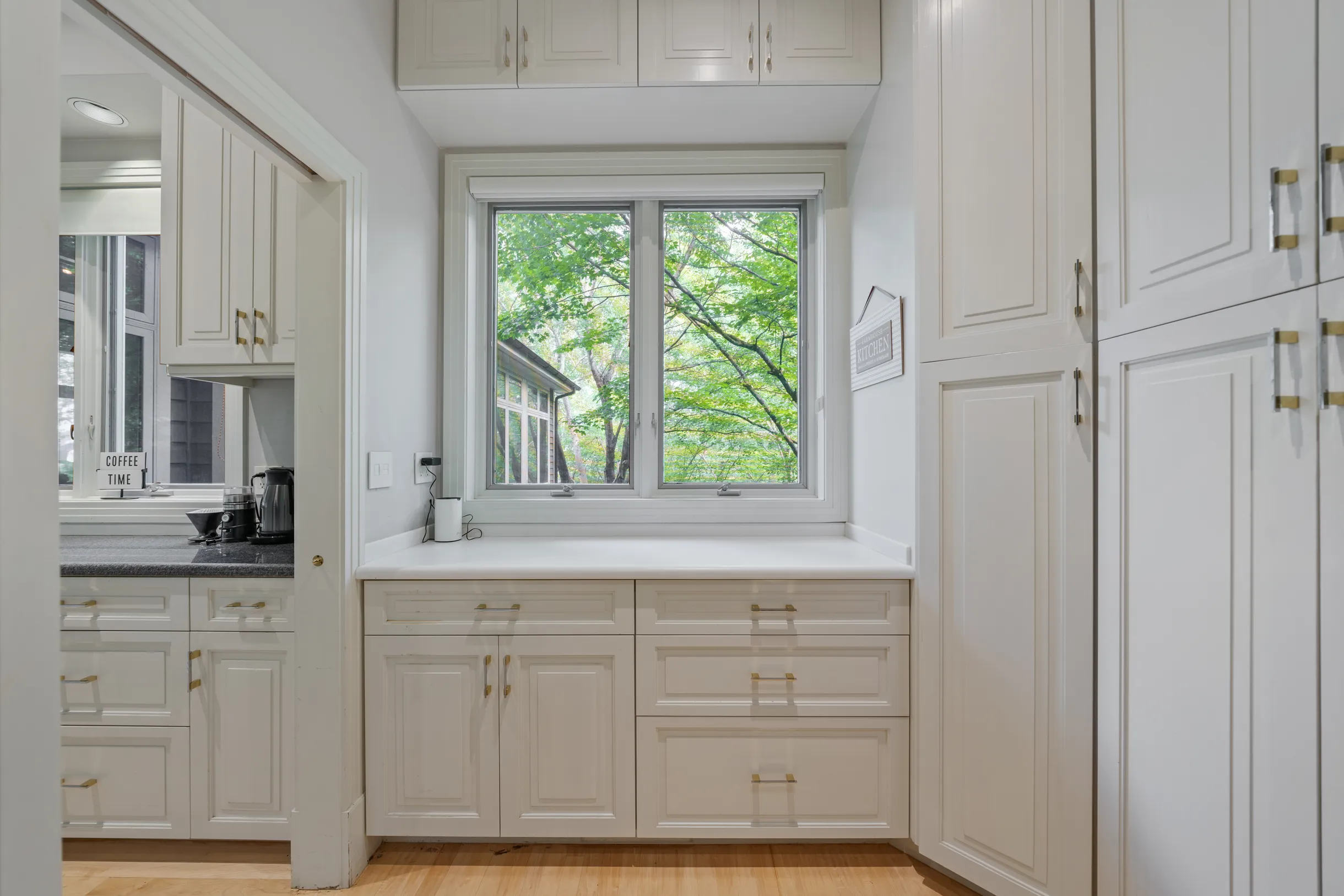 Wander Blue Ridge Valley #111