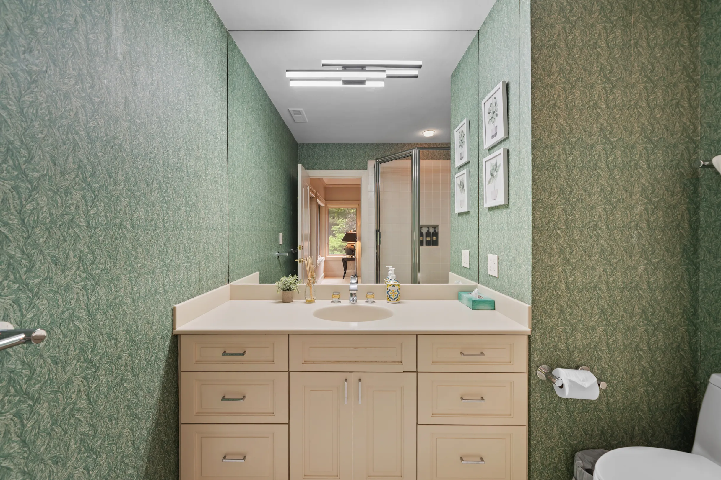 Wander Blue Ridge Valley #15