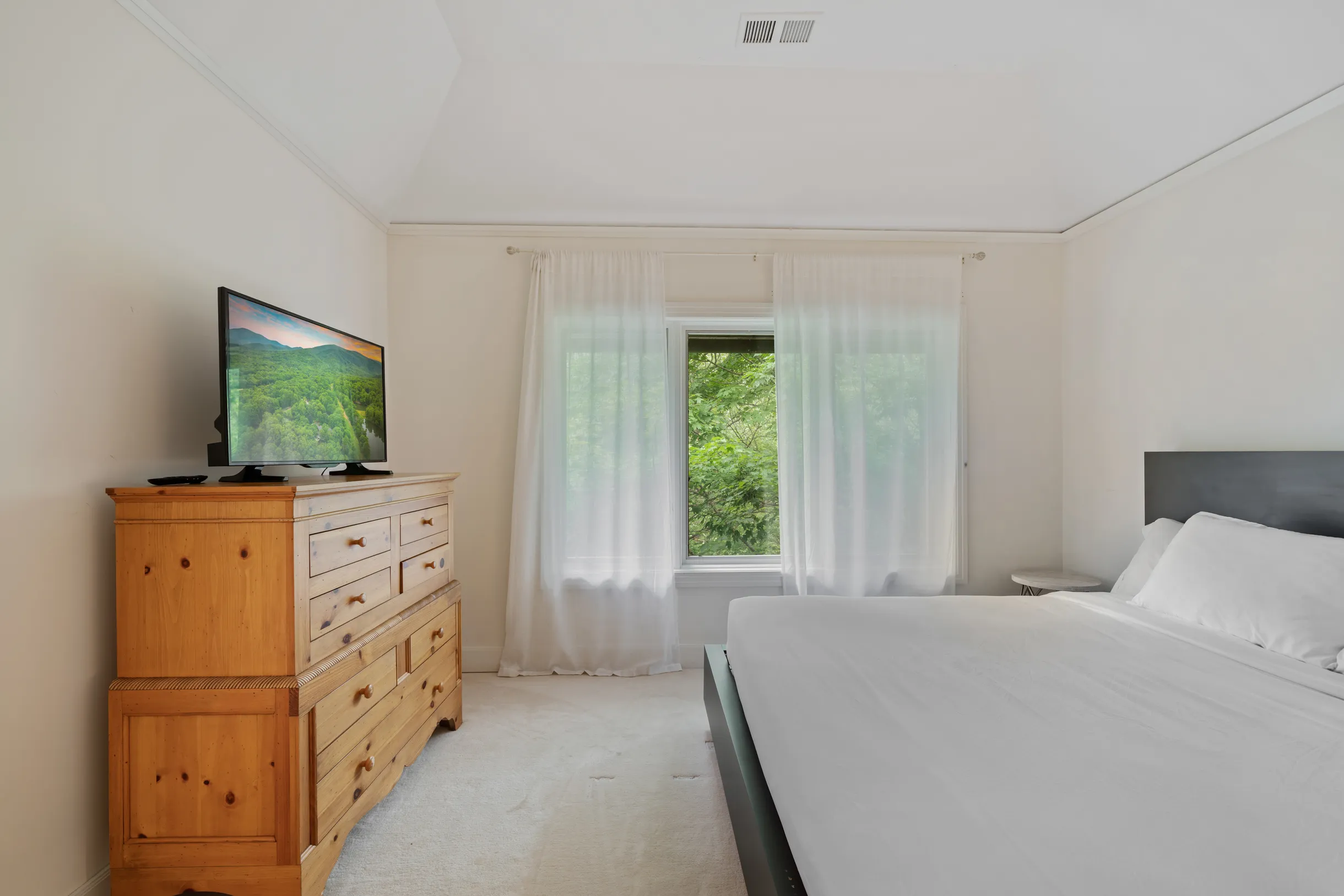 Wander Blue Ridge Valley #70